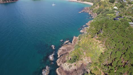 forested headland in mawhitipana bay, waiheke island, new zealand