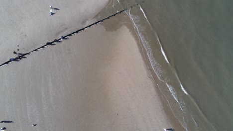 관광객들이 아래를 걷고 있는 황금빛 모래사장을 내려다보는 화창한 공중 회전 전망