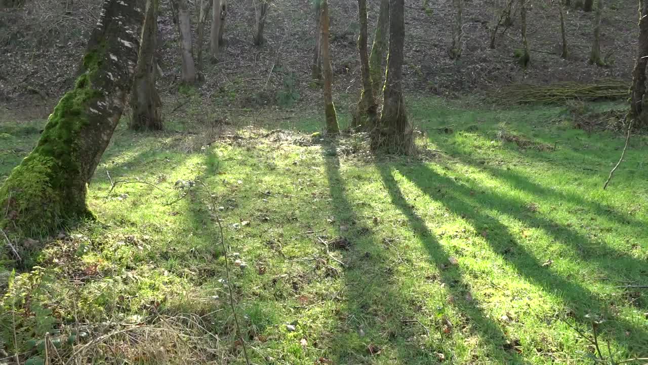 아름다운 lancashire 강과 시골 장면