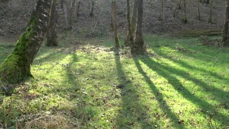 Schöne-Lancashire-Fluss--Und-Landschaftsszenen