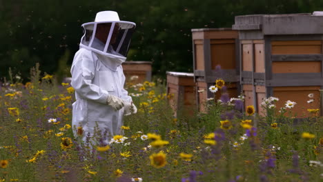 a beekeeper tending to beehives in a field of wildflowers