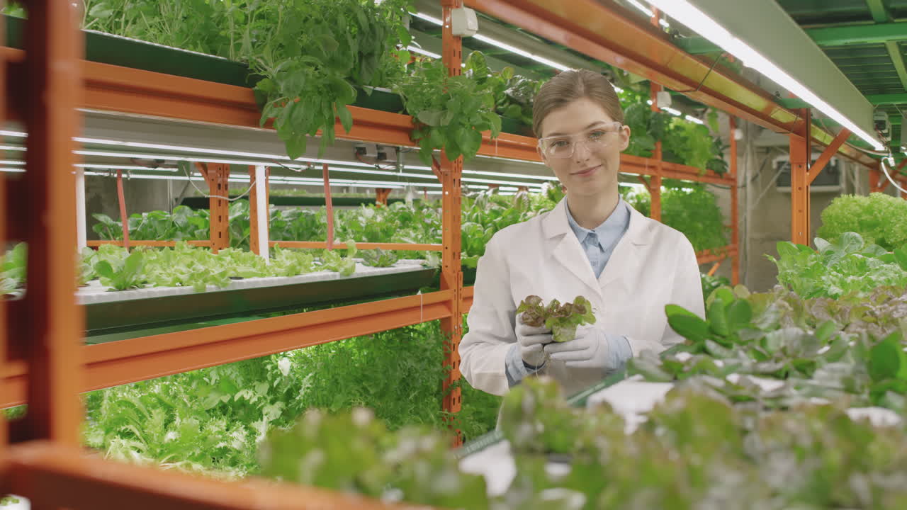 Portrait Of Scientist With Spinach Seedling
