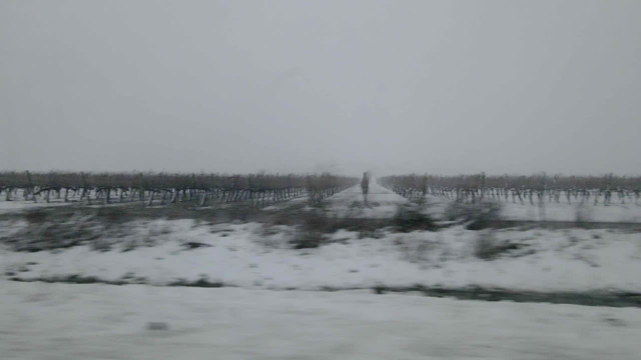 vista de viñedos cubiertos de nieve y tierras de cultivo mientras conduce por el campo, israel