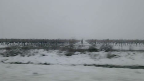 Vista-De-Viñedos-Cubiertos-De-Nieve-Y-Tierras-De-Cultivo-Mientras-Conduce-Por-El-Campo,-Israel