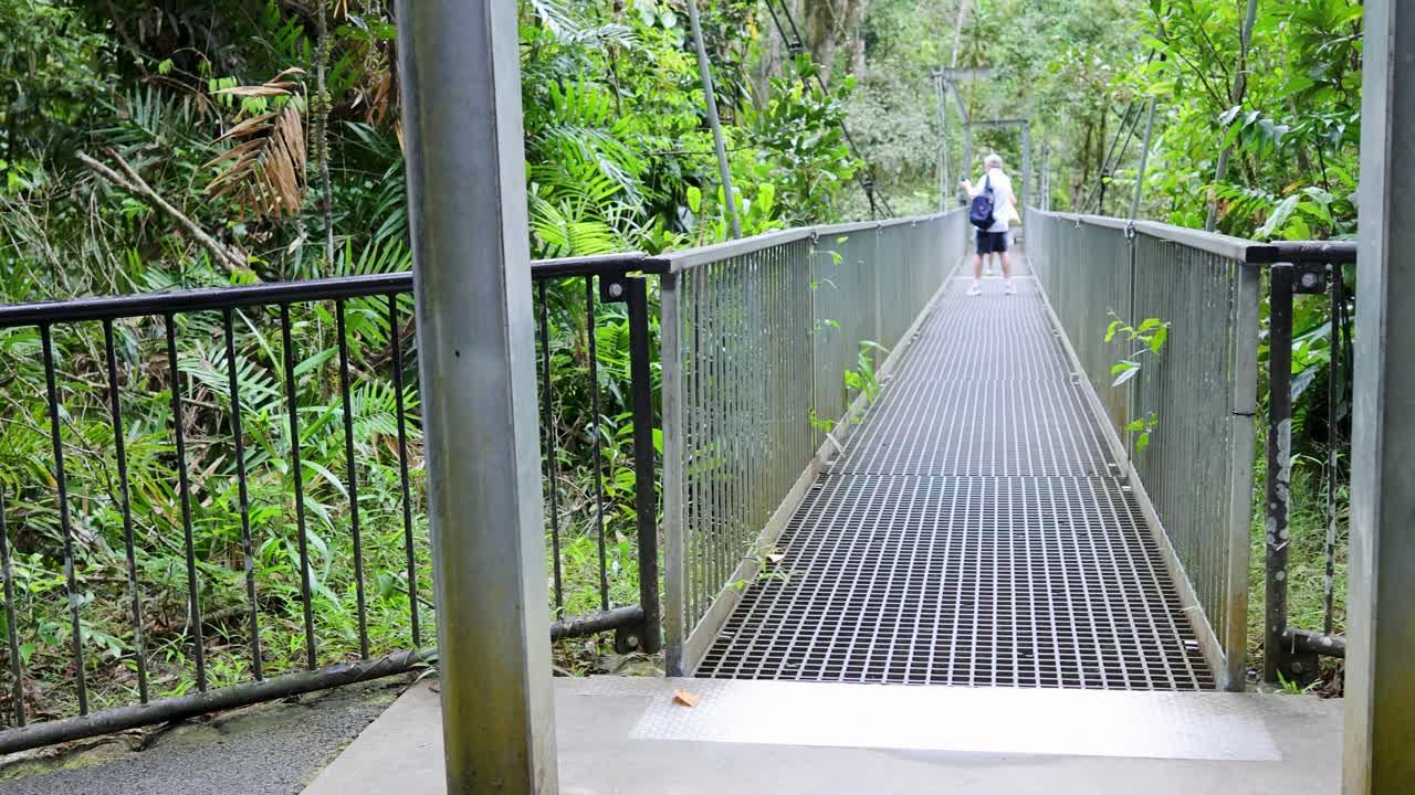 Tourists walk across a suspension bridge in a lush rainforest setting. Bright natural lighting enhances the vibrant greenery