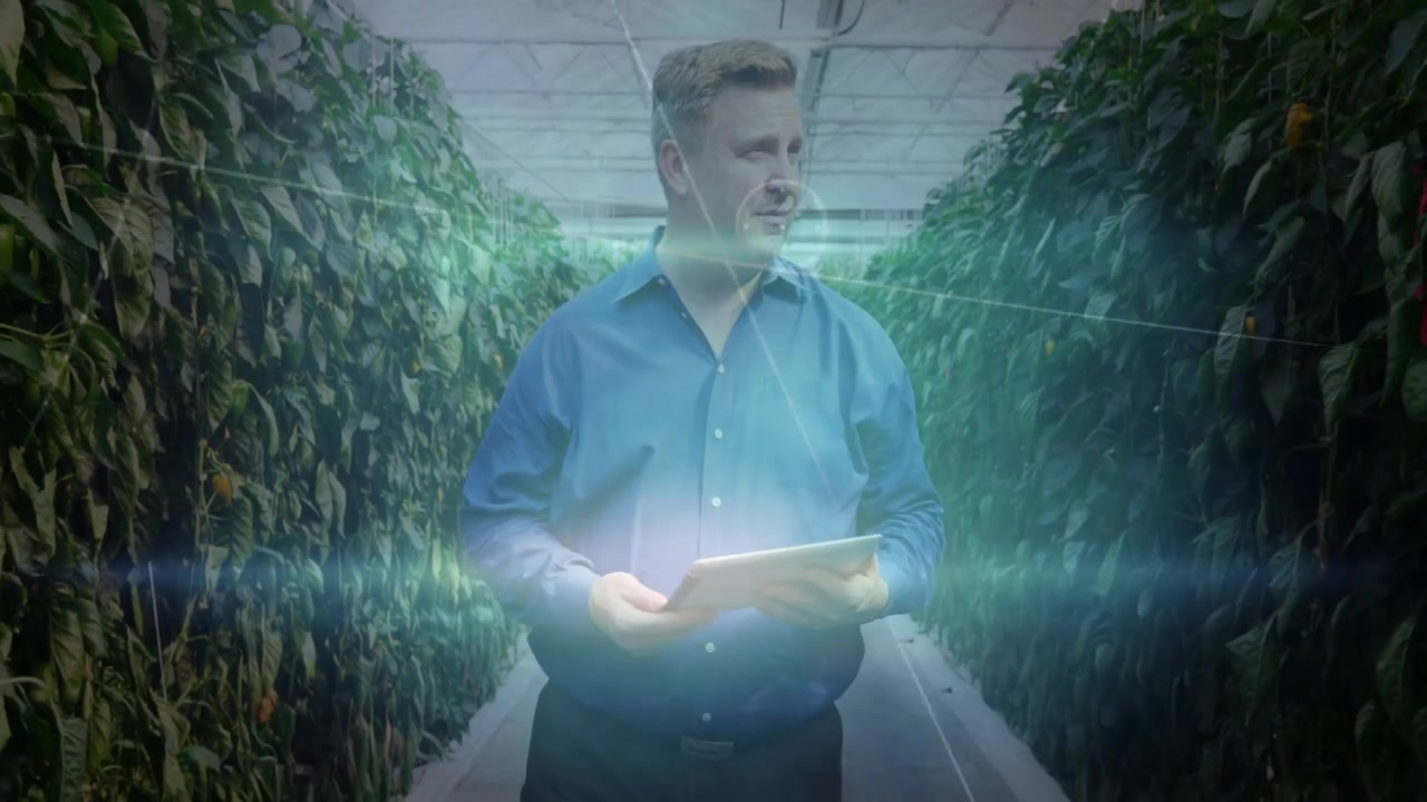 Mature agronomist entering greenhouse activating scan overlay while tapping tablet logging readings