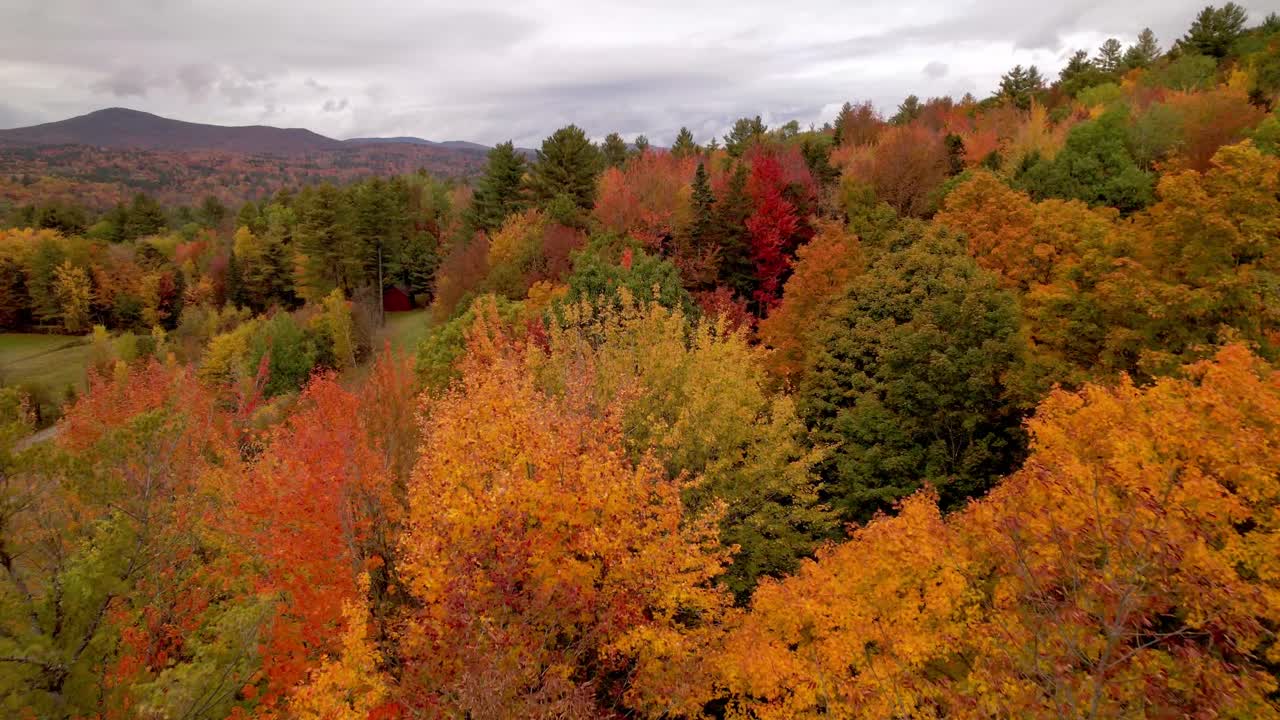 empuje aéreo sobre árboles coloridos y hojas en otoño y otoño en vermont, montañas verdes