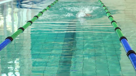 fit swimmer doing the front stroke in the swimming pool