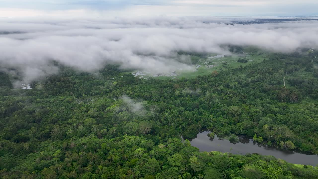구름과 안개가 있는 아마존 숲