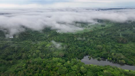 amazon forest with clouds and fog