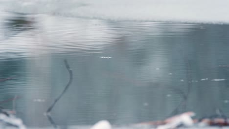 cold blue water background on frozen winter pond, with copy space