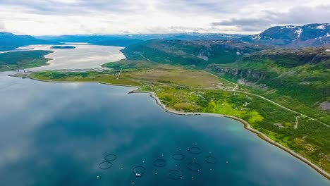 imágenes aéreas de granjas de pesca de salmón en noruega