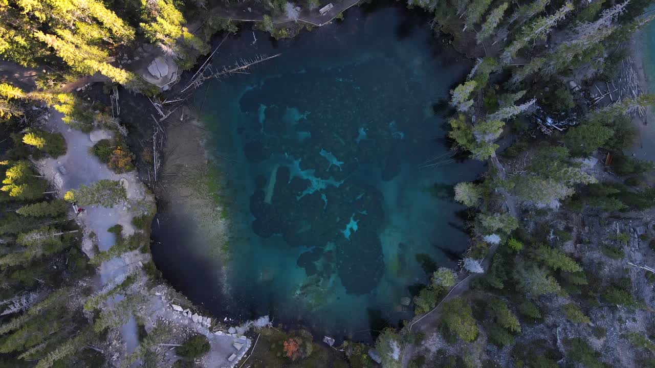 vista vertical aérea de drones del lago grassi y sus aguas transparentes desde arriba rodeadas de bosques en alberta, canadá