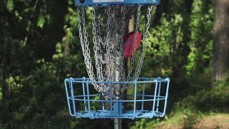 discgolfkarretjes in het bos