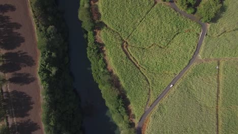 River-and-sugar-cane-fields-aerial-view-of-Mauritius