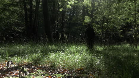 adult male walking through grass in woodland forest