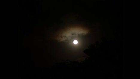 Lapso-De-Tiempo-De-Una-Subida-De-La-Luna-Llena-De-Un-Jardín-Tropical