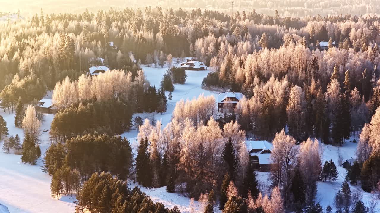 日の出の雪に覆われた森の空撮。