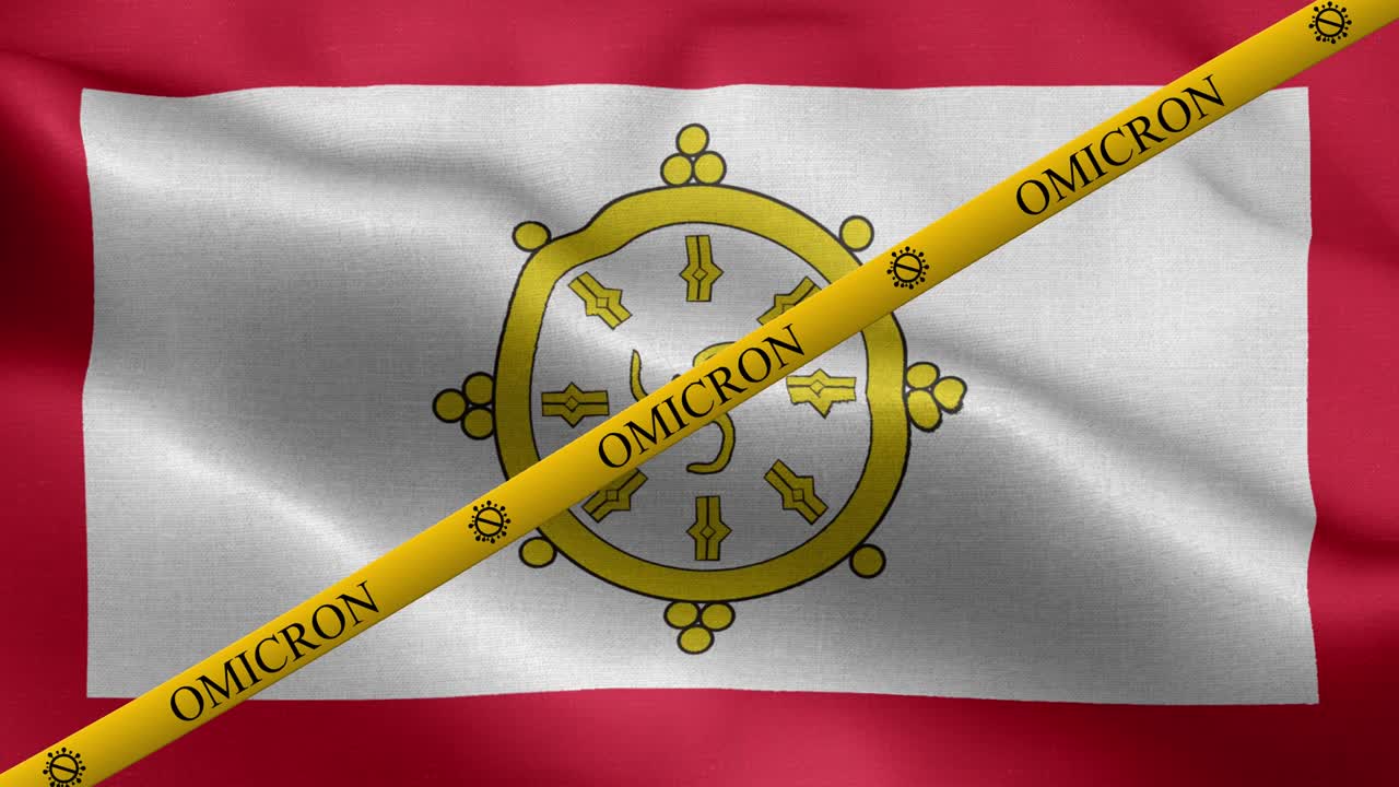 시 발의 오미크론 변종과 금지 줄무 - 시의 발