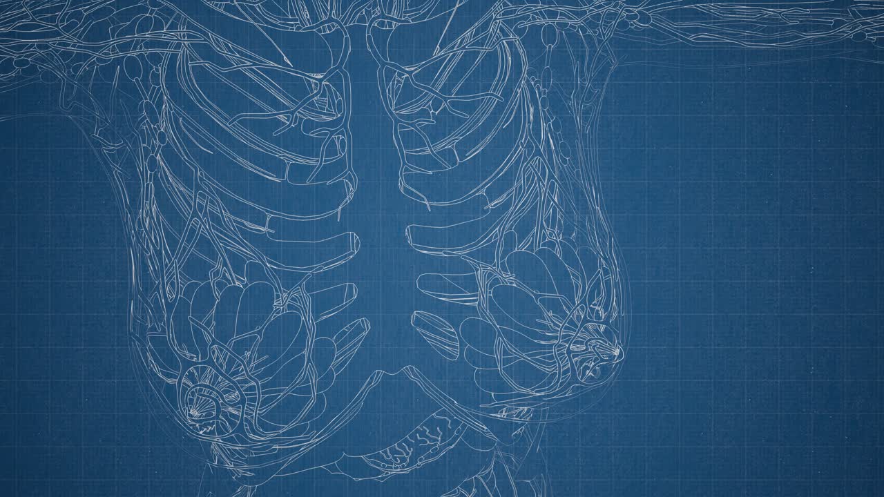 눈에 띄는  ⁇ 가 있는 투명한 인간 몸