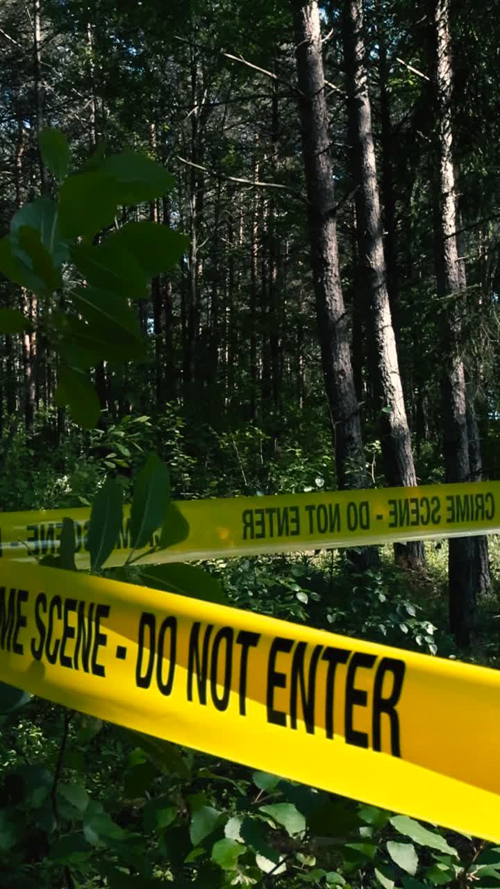 Rare footage of a yellow crime scene tape pulled around trees in a lush green forest area to investigate a crime. The ribbon is moving in the wind and background is a dark forest with sunshine visible