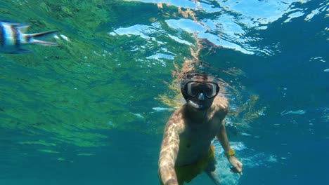 caucasian male tourist snorkelling in pristine coral reed water of red sea in egypt with tropical colourful fish