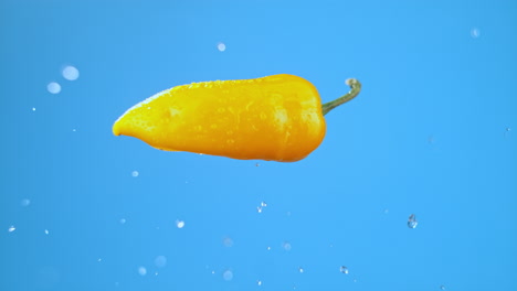 Single-yellow-bell-pepper-chili-fresh-cooking-ingredient-vegetable-jumping-in-air-with-water-drops