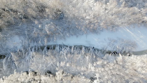 Reine-Natur-Finnlands,-Gefrorene-Flusswaldlandschaft-An-Einem-Wintermorgen,-Luftdrohnenvideo