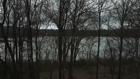 Dried-And-Bald-Trees-On-Sequoyah-Lakeshore-Near-Fayetteville,-Arkansas,-USA