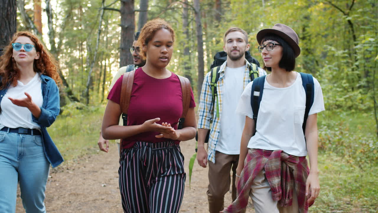 amigos haciendo senderismo en el bosque.