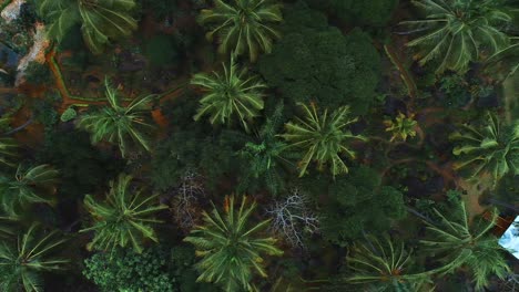 aerial view of the morogoro rock garden-4