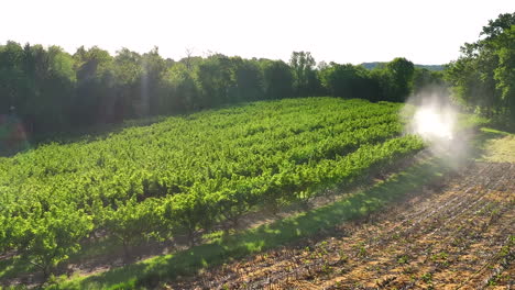 cloud of spray chemicals in fruit orchard