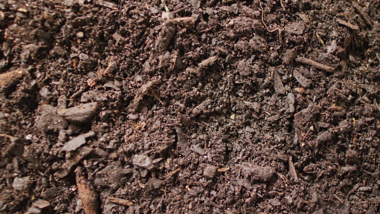 Close up panning video of organic dark peat soil and bark texture