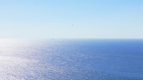 drone footage of majestic frigate birds soaring in the clear blue skies above coastline, with stunning ocean views below