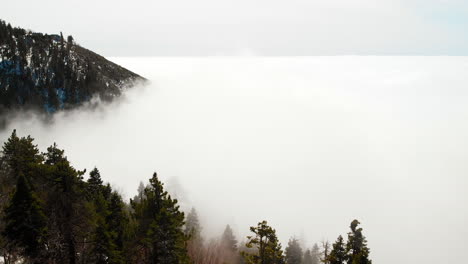 a sea of mist in the top of a mountain in california