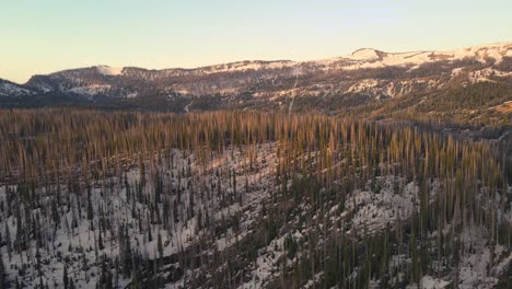 sunny pan of the rio grande national forest