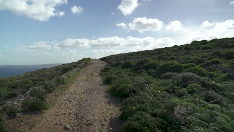 Die-Sonne-Scheint-Auf-Einem-Leeren-Pfad,-Der-Durch-Die-Randgebiete-Der-Insel-Gozo-Führt