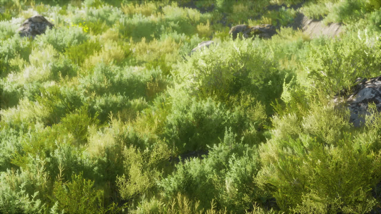 твердая скала посреди зеленой земли.