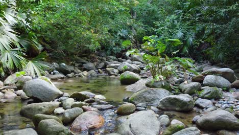 Tiempo-De-Relajación-Flotando-En-Un-Arroyo-Rocoso-Rodeado-De-Vegetación-En-Minca,-Colombia