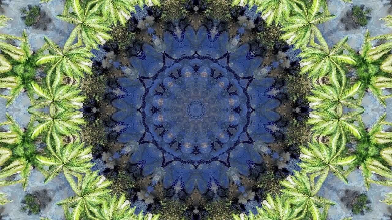 animación de caleidoscopio verde palma en el fondo del círculo