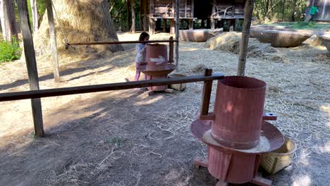 child interacts with traditional rice mill