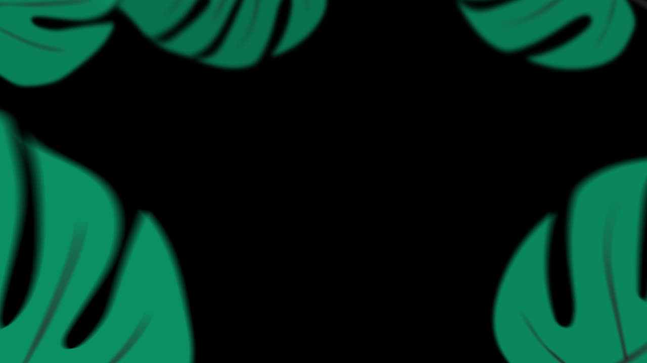 jungla tropical hawaiana hojas animación intro outro y transición alfa luma fondo transparente para su texto o imágenes