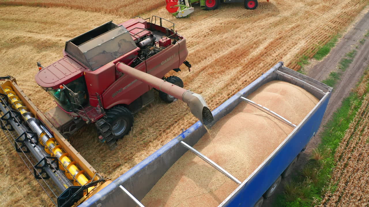 Freshly-picked crops downloaded in a tractor. Red harvester finishes uploading harvest and leaves to continue work in the field. Top view.