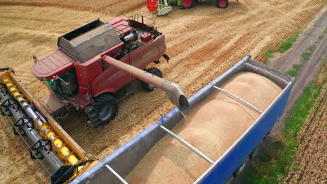 freshly-picked crops downloaded in a tractor. red harvester finishes uploading harvest and leaves to continue work in the field. top view.