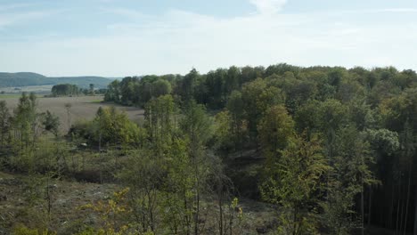 luftdrohne über schöne deutsche landschaft, wald, europa geschossen