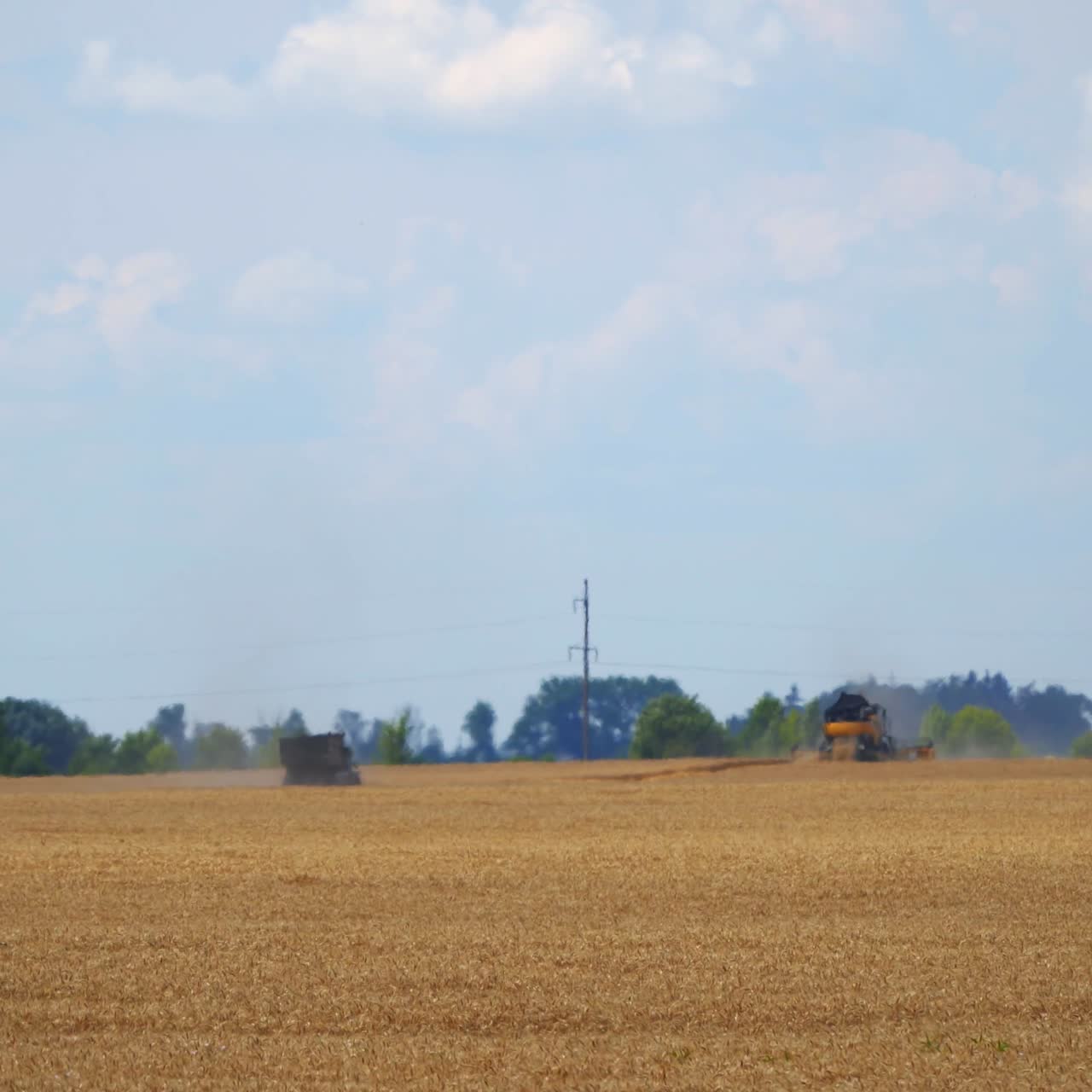Combine harvester in action on wheat field background. Process of gathering ripe crop from the fields