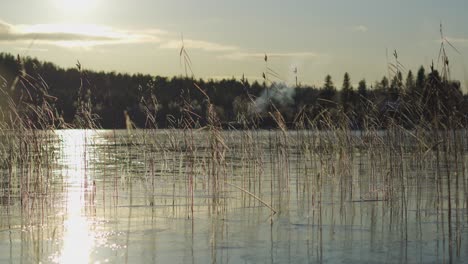 Lake-landscape-of-a-beautiful-natural-lake-with-weeds-and-plants-on-a-sunny-day-with-the-sun-shining-on-the-surface-of-the-water