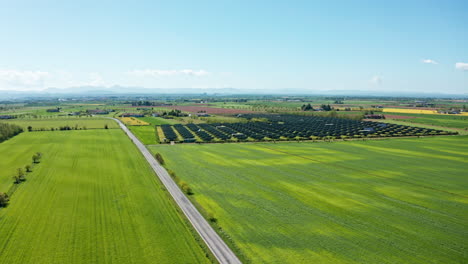 Luftaufnahme-Einer-Ländlichen-Landschaft-Mit-Grünen-Feldern-Und-Einer-Langen-Straße-Unter-Einem-Klaren-Blauen-Himmel