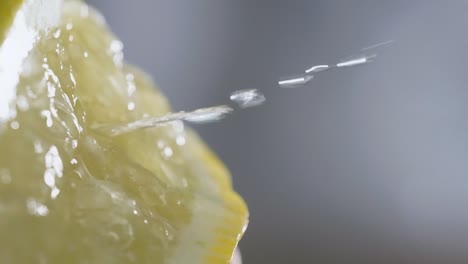 squeezing fresh sliced lemon, releasing citrus juice in slow motion, extreme macro shot