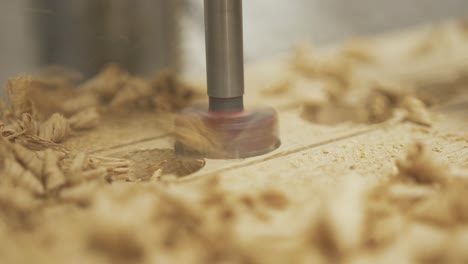 broca de pilar de primer plano cortando agujeros en madera de roble blanco